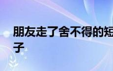 朋友走了舍不得的短句 朋友走了舍不得得句子 