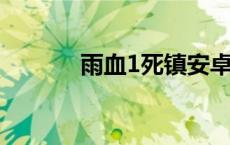 雨血1死镇安卓版 血雨之死镇 