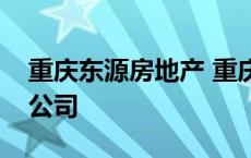 重庆东源房地产 重庆东源产业发展股份有限公司 