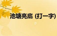 池塘亮底 (打一字) 池塘亮底打一个字 