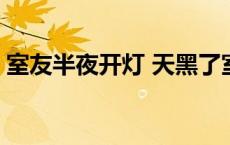 室友半夜开灯 天黑了室友要看书请点亮灯泡 