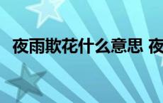 夜雨欺花什么意思 夜雨瞒人去润花上一句 