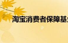 淘宝消费者保障基金 淘宝消费者保障 