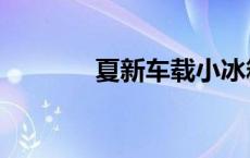 夏新车载小冰箱 车载小冰箱 