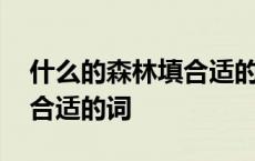 什么的森林填合适的词四个字 什么的森林填合适的词 