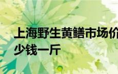 上海野生黄鳝市场价是多少一斤 野生黄鳝多少钱一斤 