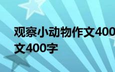 观察小动物作文400字三年级 观察小动物作文400字 