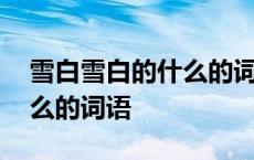 雪白雪白的什么的词语一年级 雪白雪白的什么的词语 