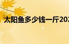 太阳鱼多少钱一斤2021 太阳鱼多少钱一斤 