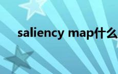 saliency map什么意思 map什么意思 