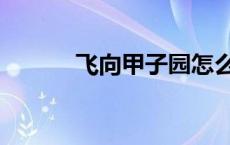 飞向甲子园怎么样 飞向甲子园 