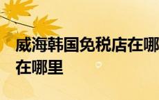 威海韩国免税店在哪里 威高 威海韩国免税店在哪里 