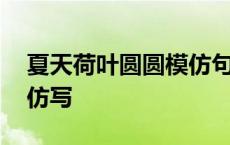 夏天荷叶圆圆模仿句子写夏天 夏天荷叶圆圆仿写 