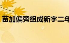 苗加偏旁组成新字二年级 苗加偏旁组成新字 