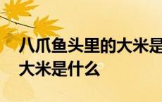 八爪鱼头里的大米是什么意思 八爪鱼头里的大米是什么 