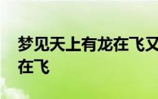 梦见天上有龙在飞又像蛇一样 梦见天上有龙在飞 