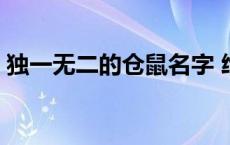 独一无二的仓鼠名字 给仓鼠取名字呆萌些的 