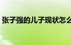 张子强的儿子现状怎么样 张子强的儿子现状 