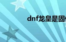 dnf龙皇是固伤吗 dnf龙皇 