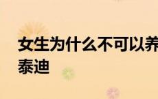 女生为什么不可以养泰迪 女生为什么不能养泰迪 