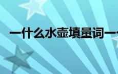 一什么水壶填量词一个 一什么水壶填量词 