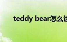 teddy bear怎么读音 bear怎么读音 