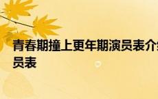 青春期撞上更年期演员表介绍王心颖 青春期撞上更年期2演员表 