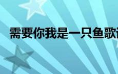 需要你我是一只鱼歌词 需要你我是一只鱼 