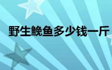 野生鮸鱼多少钱一斤 野生刺鳅多少钱一斤 