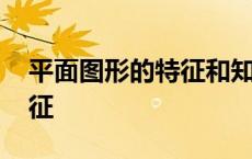 平面图形的特征和知识点梳理 平面图形的特征 