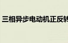 三相异步电动机正反转 异步电动机工作原理 