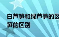 白芦笋和绿芦笋的区别在哪里 白芦笋和绿芦笋的区别 