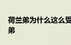 荷兰弟为什么这么受欢迎 荷兰弟为什么荷兰弟 