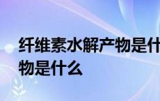 纤维素水解产物是什么化学式 纤维素水解产物是什么 