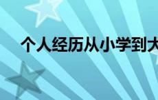 个人经历从小学到大学怎么写 个人经历 