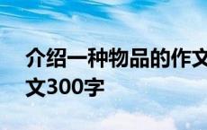 介绍一种物品的作文300字 介绍一种物品作文300字 