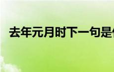 去年元月时下一句是什么意思 去年元月时 