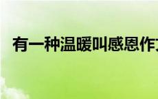 有一种温暖叫感恩作文 有一种温暖叫感恩 