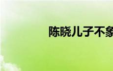 陈晓儿子不象他 陈晓儿子 