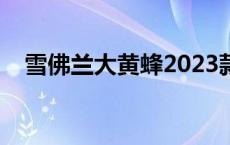 雪佛兰大黄蜂2023款报价 雪弗兰大黄蜂 