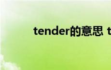 tender的意思 tender什么意思 