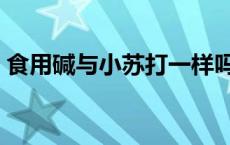 食用碱与小苏打一样吗 食用面碱是小苏打吗 