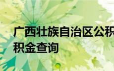 广西壮族自治区公积金查询 广西区直住房公积金查询 