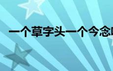 一个草字头一个今念啥 一个草字头一个今 