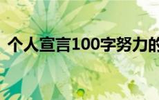 个人宣言100字努力的句子 个人宣言100字 