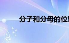 分子和分母的位置 分子分母位置 