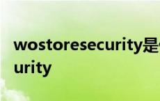 wostoresecurity是什么文件夹 wostoresecurity 