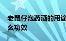 老鼠仔泡药酒的用途与作用 老鼠仔泡酒有什么功效 