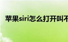 苹果siri怎么打开叫不了 苹果siri怎么打开 