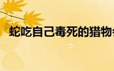 蛇吃自己毒死的猎物会被毒死吗 蛇吃自己 